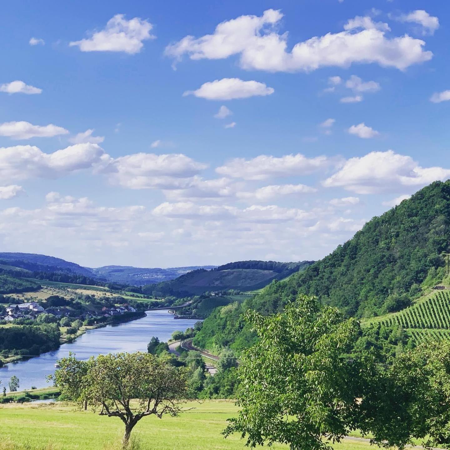 Ferienwohnungen Im Kimmelreich Irsch Exterior foto